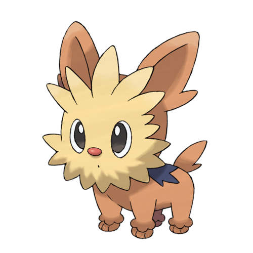 A picture of Lillipup from Pokémon.